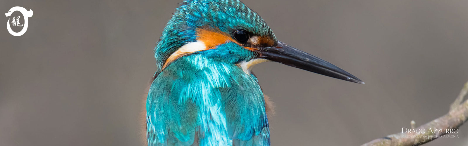 Area del Tavello | Corsi di ginnastica del benessere, ginnastica dolce, posturale, pilates, ginnastica per parkinson | Arti marziali cinesi, Taiji Quan, QiGong, DaoYin e difesa personale | Camin, Camponogara, Campolongo Maggiore, Dolo, Fossò, Fiesso d'Artico, Legnaro, Noventa Padovana, Padova, Ponte di Brenta, Ponte San Niccolò, Sandon, Venezia, Vigonovo, Villatora, Saonara, Stra.